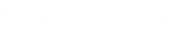 VinUniversity
